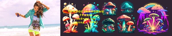 apvp Каменногорск