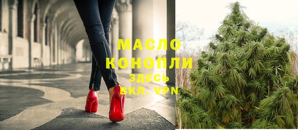 apvp Каменногорск
