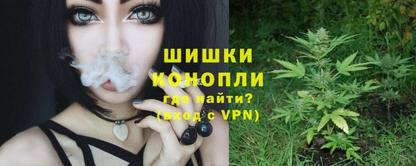 apvp Каменногорск