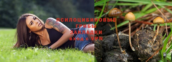 apvp Каменногорск