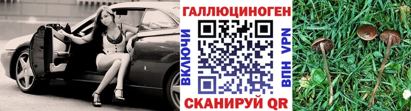 Купить закладки  Родники  Галлюциногенные грибы Psilocybe 